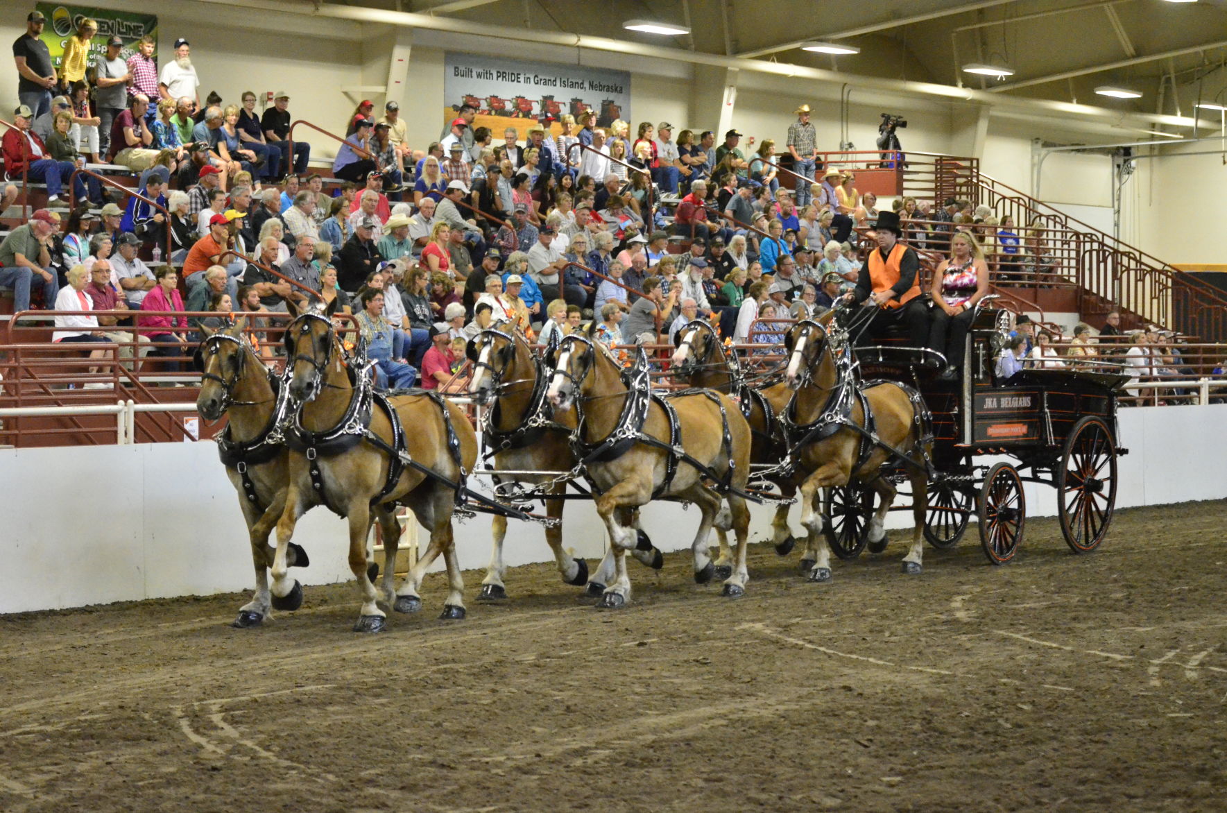 8-25-19 Draft Horse Hitch Final (121).JPG
